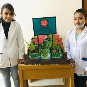 Pharmacy Day bncp